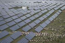 China races to build world’s largest solar farm to meet emissions targets