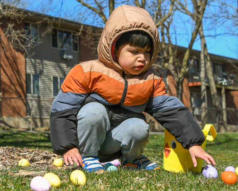 Ivan Pabron, 3, of DeKalb picks up eggs during during the DeKalb Park District's annual children's egg hunt on Saturday, March, 23, 2024, held at Hopkins Park, 1403 Sycamore Road in DeKalb.