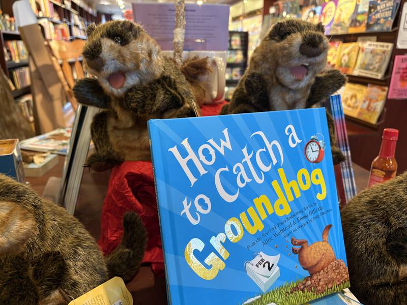 A copy of "How to Catch a Groundhog" on display at Read Between the Lynes in Woodstock Tuesday, Jan. 14, 2025.