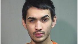 Ex-Island Lake man pleads guilty to possessing LSD, sentenced to 8 years in prison
