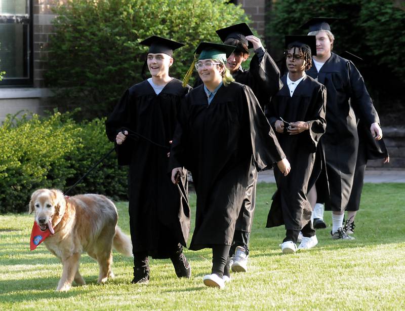 Henry, a therapy dog that comes to the school with teacher Anne Whitney-Turbidy, leads the procession Thursday, May 12, 2022, during the Haber Oaks Campus graduation in the courtyard of Crystal Lake South High School.
