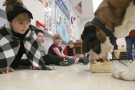 Photos: Happy 2nd birthday to Peru's finest four-legged officer Haven