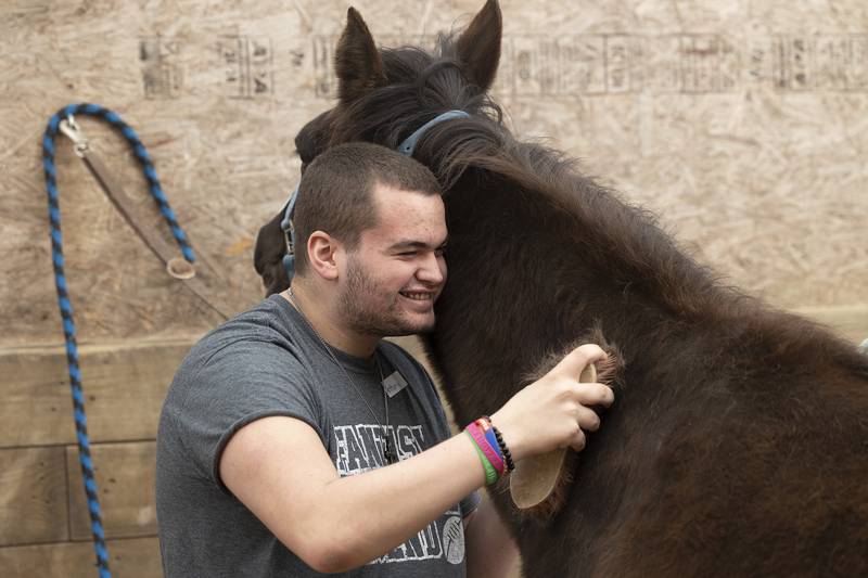 Transition student Anthony smiles while grooming a horse Tuesday, May 6, 2025, at Pegasus Special Riders. The students were taught how to care and be safe around the equines.