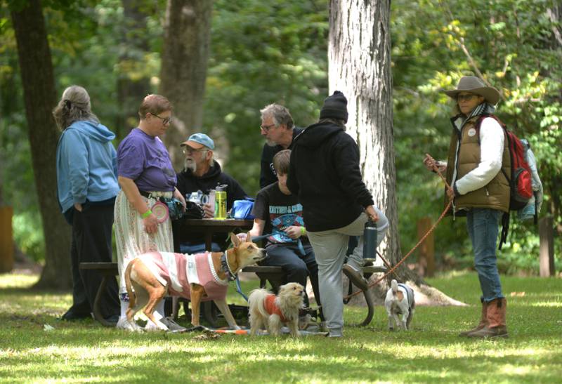 People listen to one of the bands that performed during Fest by the Nest at Lowden State Park on Saturday, Sept. 6, 2025. The event was organized by Together for Taft, a nonprofit, to raise funds and awareness of an effort to reopen the Lorado Taft Field Campus that was shuttered by Northern Illinois University in December 2024.