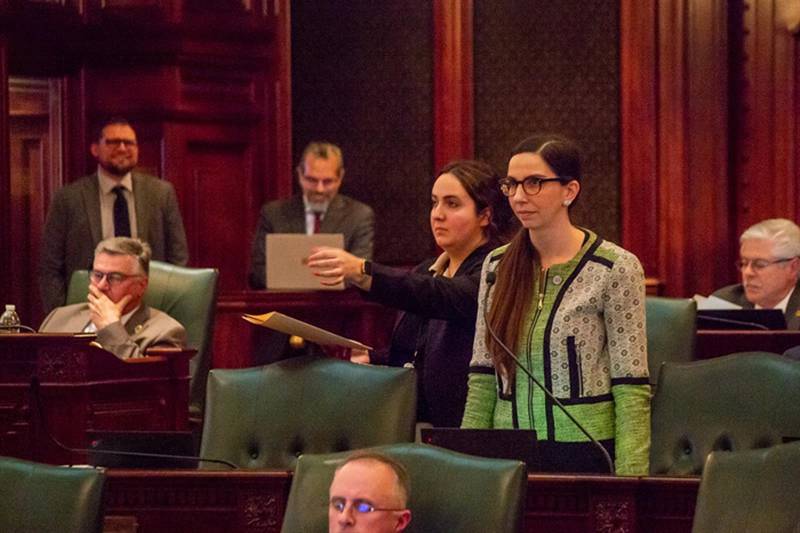 Rep. Anne Stava-Murray, D-Naperville, speaks on the Illinois House floor Wednesday in Springfield.