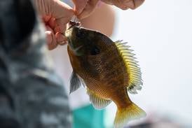 Glen Ellyn Park District’s fishin’ derby to cast off June 20