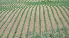 Drought spreading across Illinois on the verge of stressing farmers’ crops