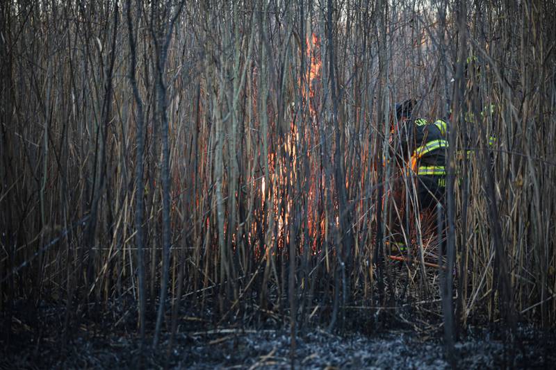 Nearly four acres of marshland burned near Cary Nov. 15, 2025.