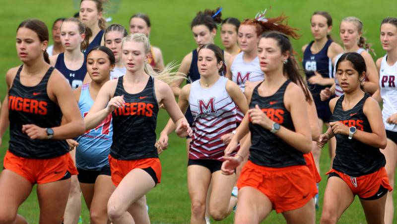 Girls begin the varsity race during the McHenry County Cross Country Meet at Emricson park in Woodstock on Saturday, August 30, 2025.