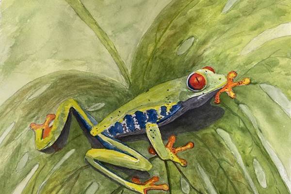 Art of Giving to feature DeKalb, Sycamore High School student art at KVAL