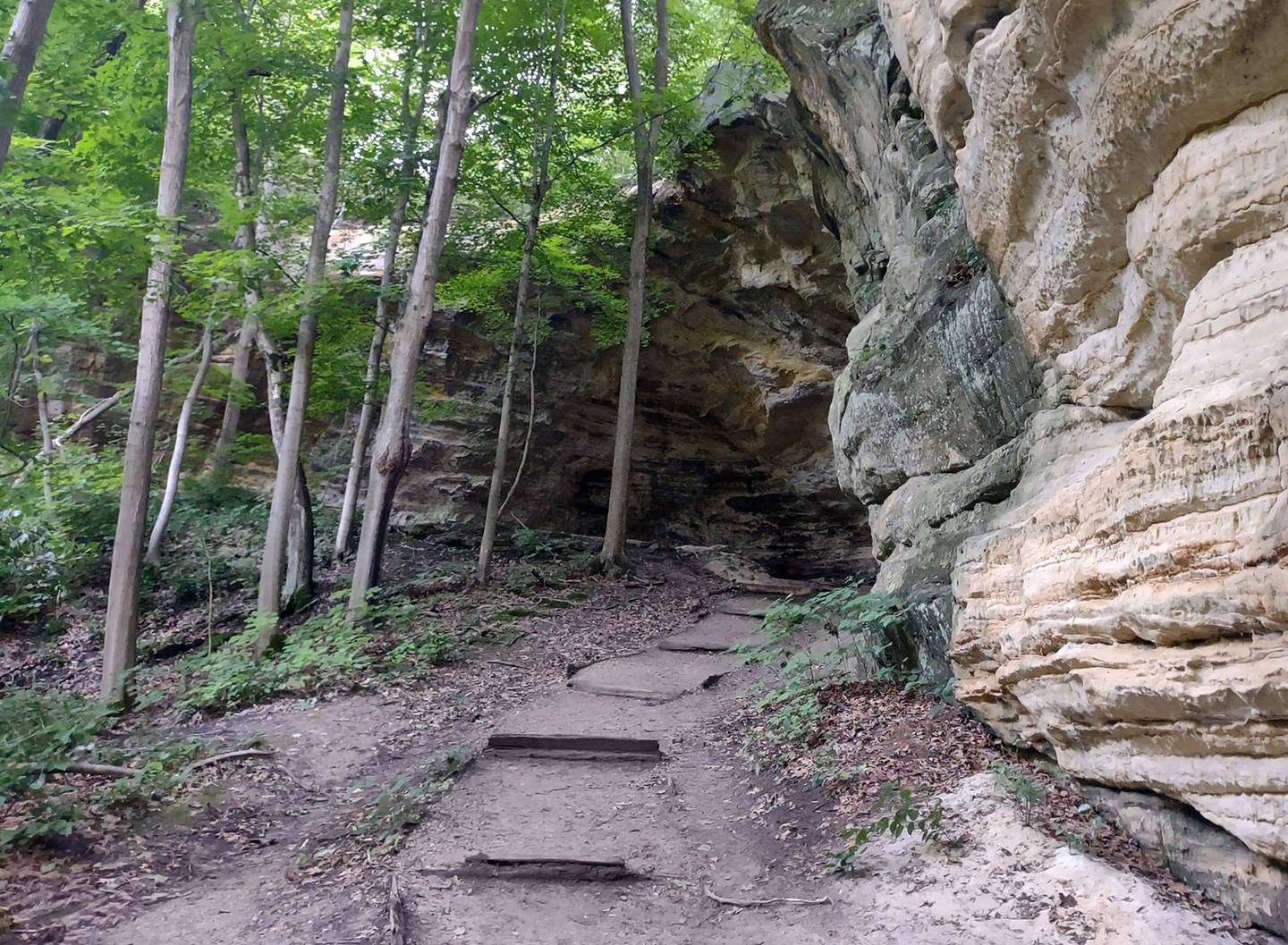 This trail leads to Council Overhang at Starved Rock State Park.