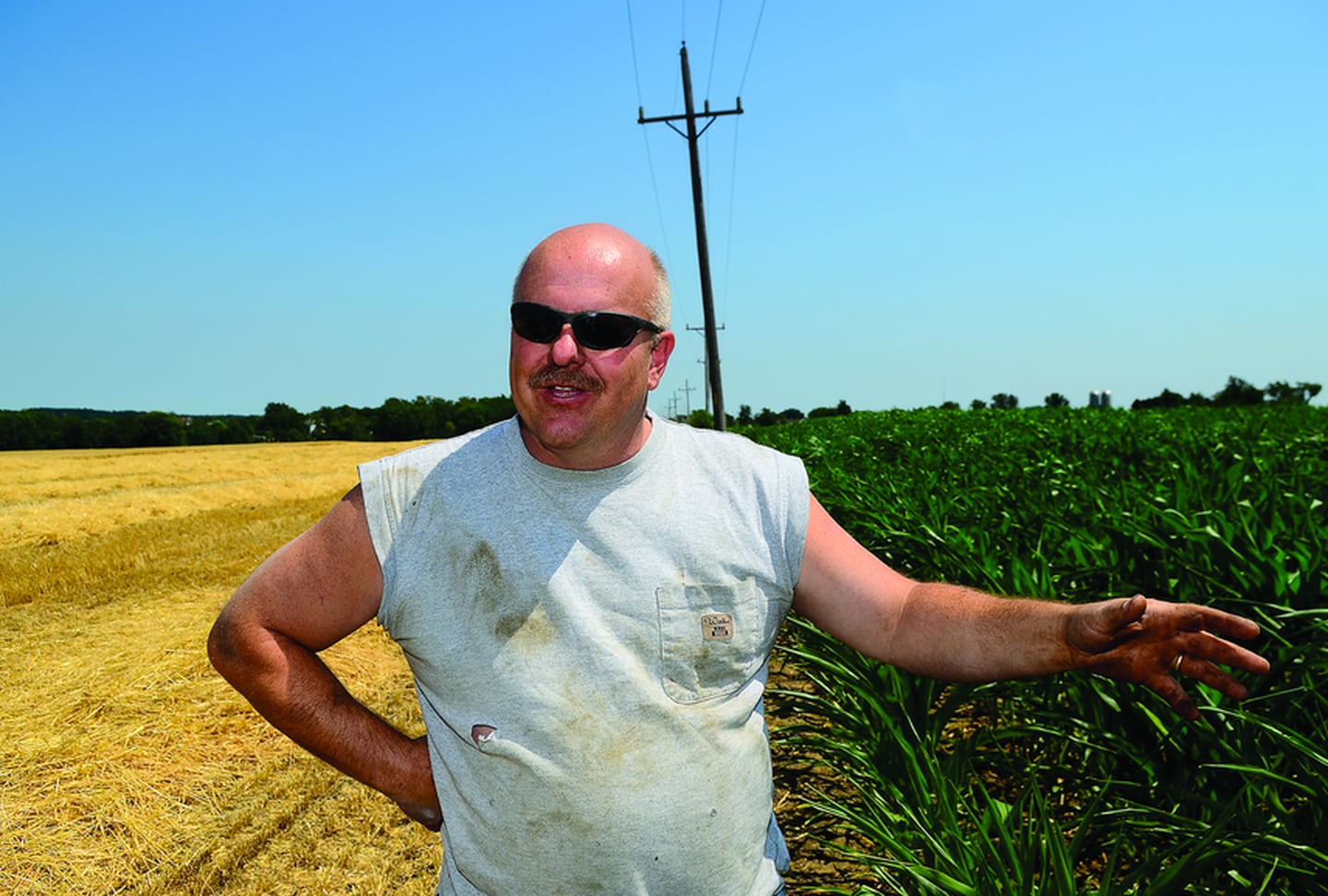 Local farmer Jim Schielein talks about how corn curls up its leaves to protect itself in 
these dry times. Go to saukvalley.com to see a video of how the weather is affecting 
Schielein’s crops.