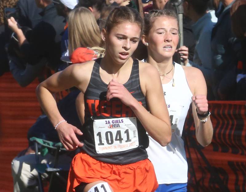 Crystal Lake Central's Hadley Ferrero competes in the Class 2A State Cross Country race on Saturday, Nov. 4, 2023 at Detweiller Park in Peoria.