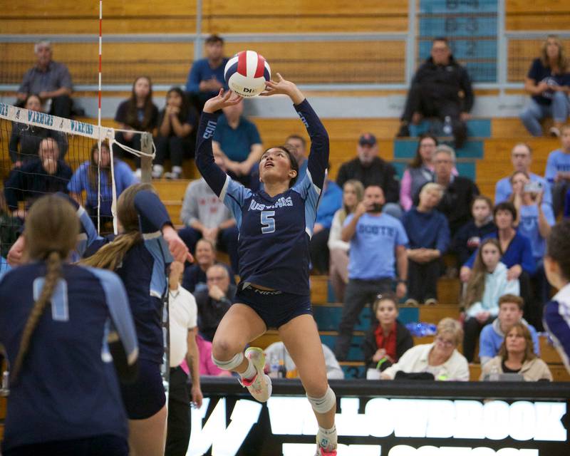 Downers Grove South's Alex Barcenas sets the ball against Downers Grove North at the Class 4A Willowbrook Sectional Final on Thursday, Nov.7,2024 in Villa Park.