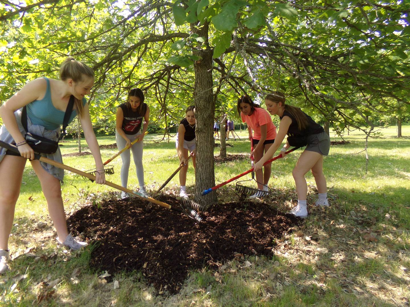 Milton Pope eighth graders Gracie Polancic, Olivia Dekreon, Piper Stenzel, Emily Mullins and Bailey Schutter help spread mulch Wednesday, May 24, 2023, at the Illinois Fallen Soldiers Tree Memorial at Illini State Park in Marseilles.