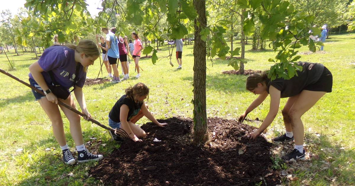 Milton Pope students volunteer at Illinois Fallen Soldiers Tree