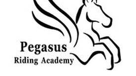Pegasus offers pick-up pork chop dinner fundraiser May 6 in Ashton