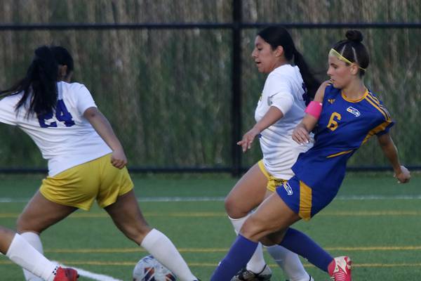 Johnsburg tops Cristo Rey St. Martin, Richmond-Burton falls to Willows Academy in Class 1A sectional semis