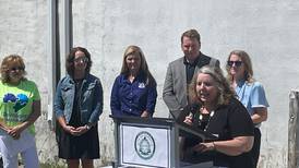 Mendota tabs engineering firm to oversee brownfield cleanup