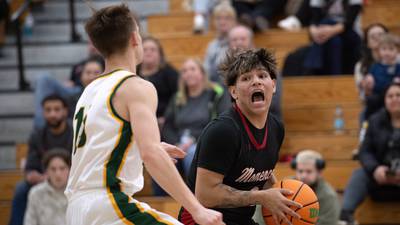 Photos: Grant Park vs. Momence, boys basketball