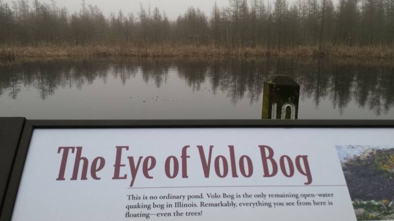 An sign at the Volo Bog State Natural Area in Ingleside.