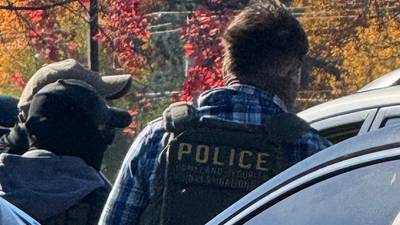 New Illinois law makes Homeland Security arrests near courthouses, hospitals, day cares illegal