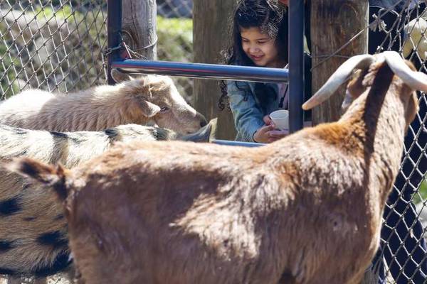 Families celebrate Earth Day with animals and activities at Randall Oaks Zoo