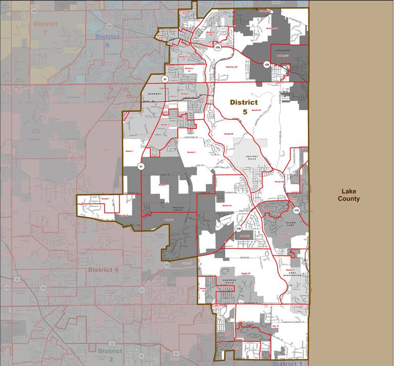 Election 2022: McHenry County Board GOP challenger rips Democratic