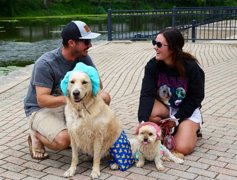 Ross Abbott and Morgan May get their dogs, Griz (left) and Presley (right), ready for the Pet Competition at the annual Batavia Windmill City Festival on Saturday, July 12, 2025.