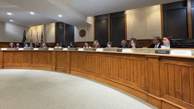 Kiwanis Kids Club takes leadership roles at Ottawa council meeting