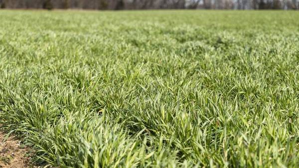 Lady Landowners invited to seminar on farmland leases and conservation