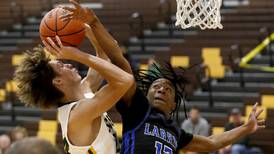 Photos: Crystal Lake South vs. Larkin boys basketball 