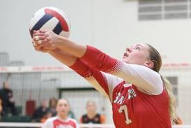 Girls volleyball: 2025 All-Interstate 8 Conference team announced