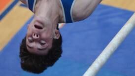 Boys Gymnastics: Lake Park rolls to state title