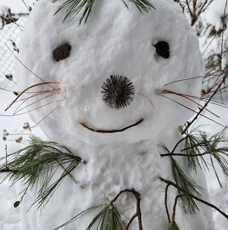 Leona Schaak made a snowman in her Crystal Lake yard.