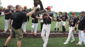 Baseball: McHenry soaks in 1st state experience after record-breaking season