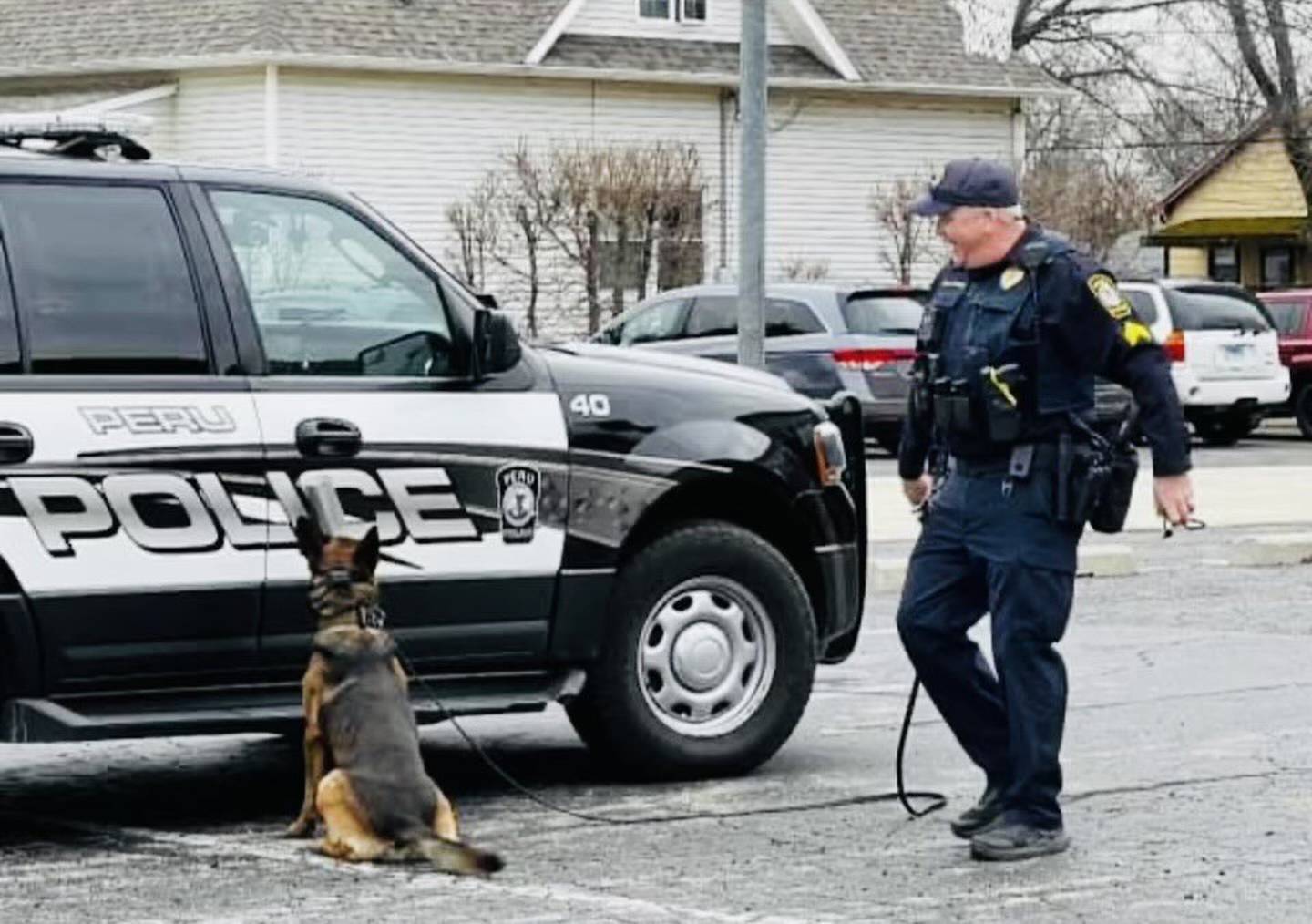 K-9 Maddox waits by the door for his handler Sgt. Matt Peters.