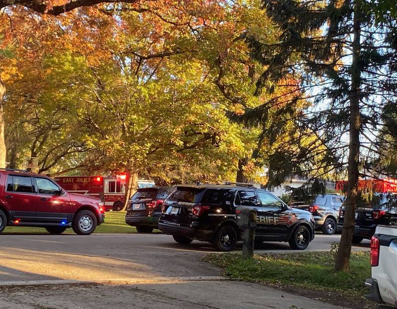 The Will County Sheriff's Office blocked off Middletree Road after deputies gunned down a man as he stabbed his grandfather to death Saturday afternoon, according to police.