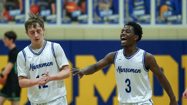 Photos: Newark vs. Leland boys basketball in the Little Ten Conference Tournament 