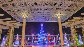 Morton Arboretum’s ‘Illumination’ to return for 2025 holiday season