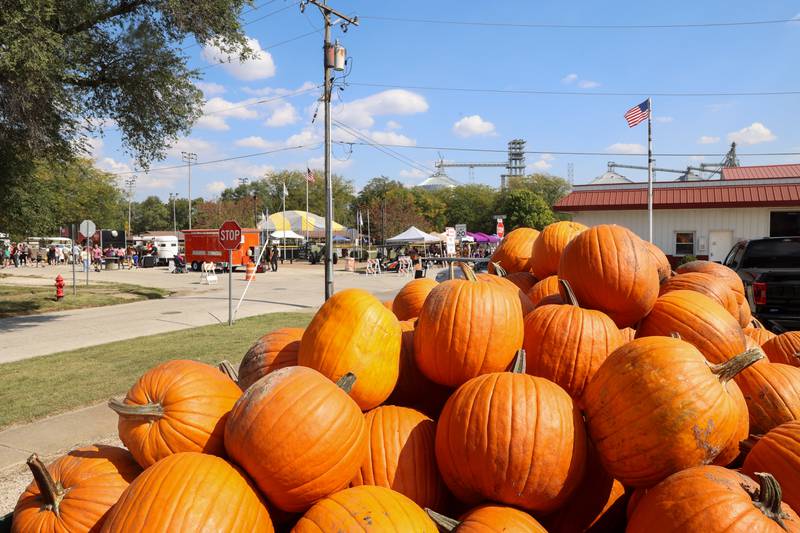 A wagon of pumpkins are for sale as the St. Anne Pumpkin Festival takes place at the Community Park on Saturday, Oct. 4, 2025.