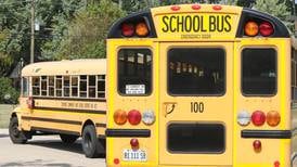 Sycamore enrollment ‘remained steady’ over past decade, data shows