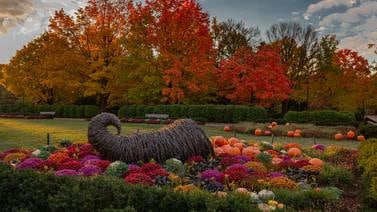 Celebrate the beauty of September will concerts, family-friendly fun at Cantigny Park in Wheaton 