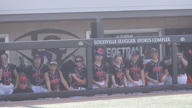 Members of the Benet Academy softball team cheer on their team from the dugout during the Class 3A State third place game on Saturday, June 10, 2023 at the Louisville Slugger Sports Complex in Peoria.