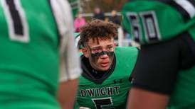 Photos: Farmington vs. Dwight/Gardner-South Wilmington in the Class 2A football quarterfinals
