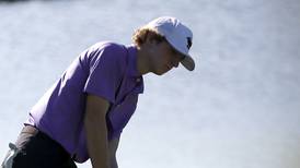 Hampshire’s Nolan Adamczyk places top 10 in first and last state tourney: Northwest Herald state golf roundup