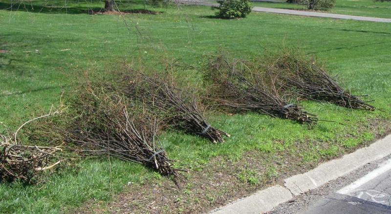 Brush is defined as tree and bush branches that are less than 5” in diameter. Place unbundled brush parallel or perpendicular to the street in neat bundles with all cut ends facing the same direction.
