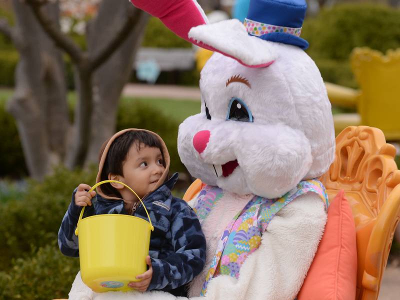 Dueling pianos, Easter festivities, Murder Mystery Dinner headline events at Cantigny this spring