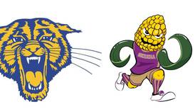 Serena, Somonauk/Leland softball both win to maintain tie atop Little Ten standings: The Times Tuesday Roundup