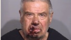 Itasca man, 75, charged in shooting death of woman near Harvard
